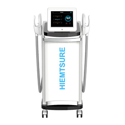 Electric Muscle Stimulator Machine For Pain Relief And Body Sculpting 2000W