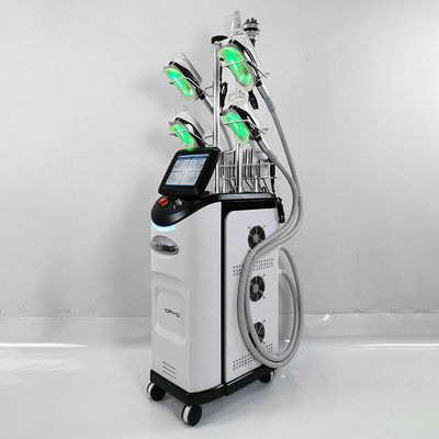 آلة تخسيس الذقن المزدوجة Cryolipolysis 110 فولت 220 فولت